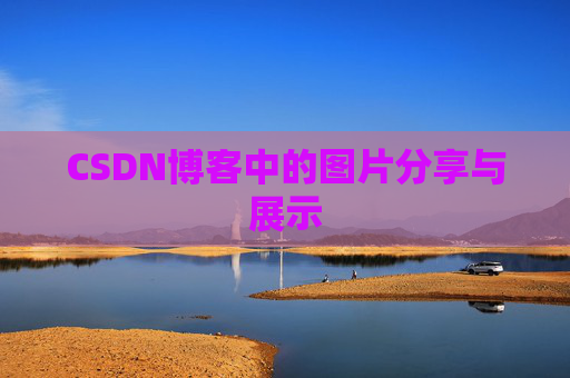 CSDN博客中的图片分享与展示